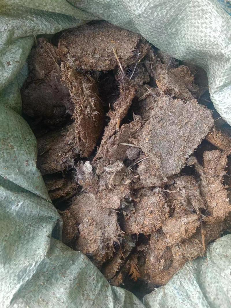 发酵有机肥鸡粪湖南产地直供量大从优可视频看货电联优惠