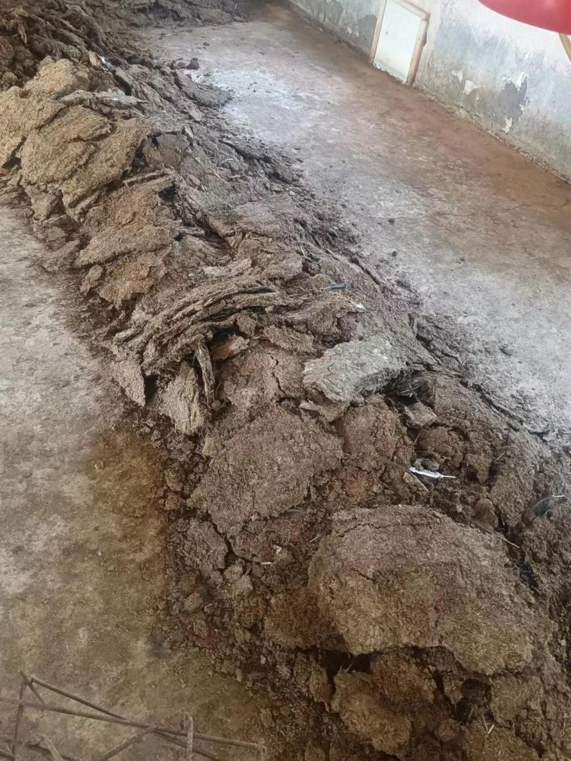 发酵有机肥鸡粪湖南产地直供量大从优可视频看货电联优惠