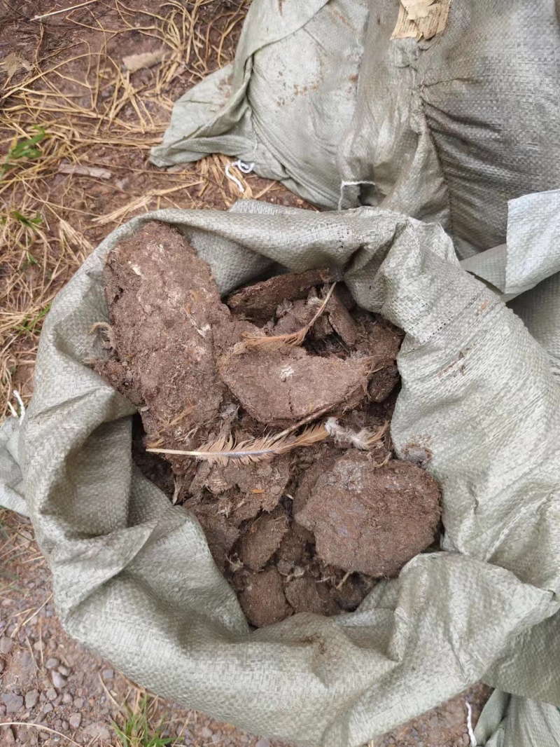 发酵有机肥鸡粪湖南产地直供量大从优可视频看货电联优惠