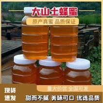 【大山土蜂蜜】养殖基地诚信经营品质保证可长期合作欢迎下单
