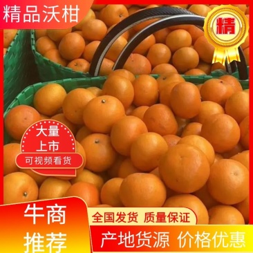 精品沃柑大量货源口感甜市场，电商全国发货，欢迎来电咨询