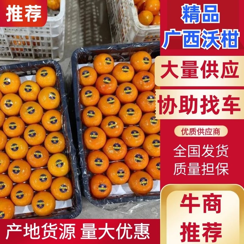 广西沃柑通货大量有货一条龙服务全国发货欢迎来电洽谈