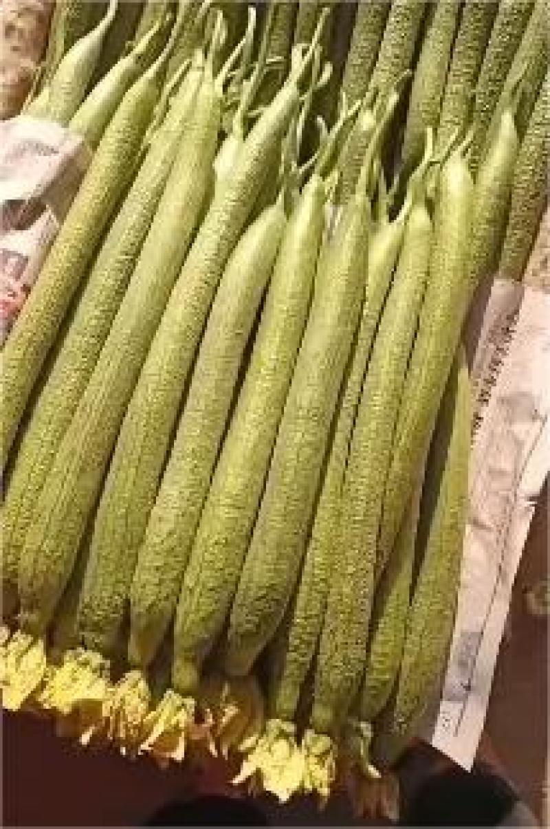 优质鲜花丝瓜，大量供应，品质保证，欢迎进店咨询采购！
