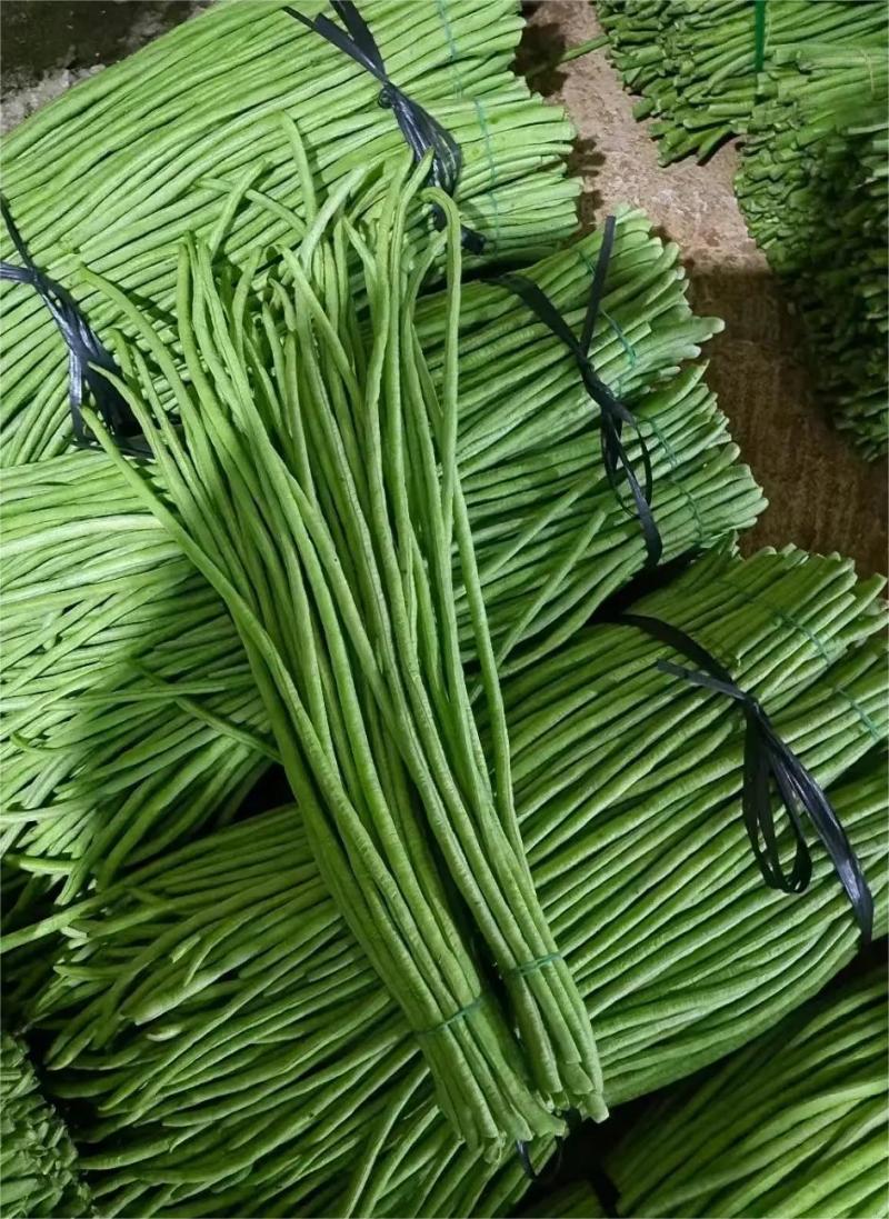 新鲜豆角长豆角，大量供应，品质保证，欢迎咨询采购！