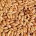 山东小麦颗粒饱满水分低磨面酿酒饲料品质保证量大优惠产地直发