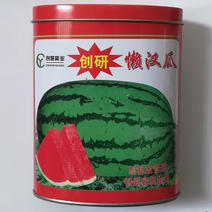 创研懒汉西瓜种子，甜霸王西瓜种子，甜美多汁，瓜型大耐重茬