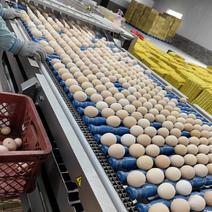 鸡蛋粉壳红心土鸡蛋，贵州鸡蛋，贵州红心鸡蛋，贵州优质鸡蛋