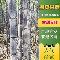 黑皮甘蔗云南甘蔗精品黑皮产地发货量大从优