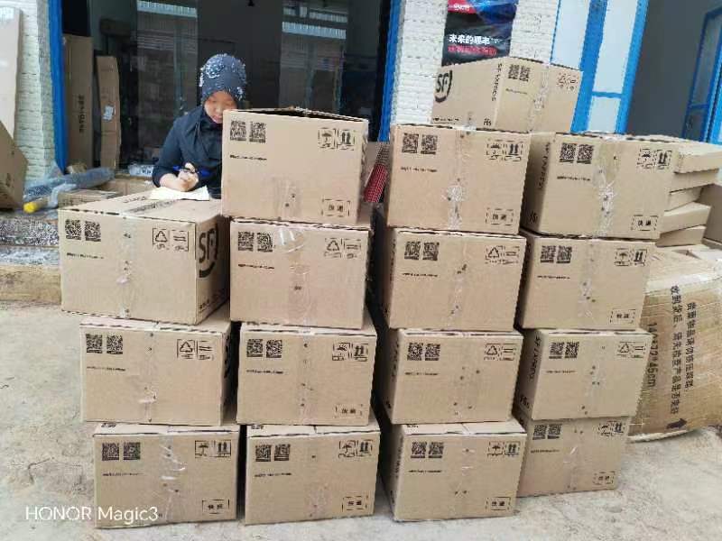 【实力商家】黄精种苗规格齐全2年苗质优价廉欢迎采购