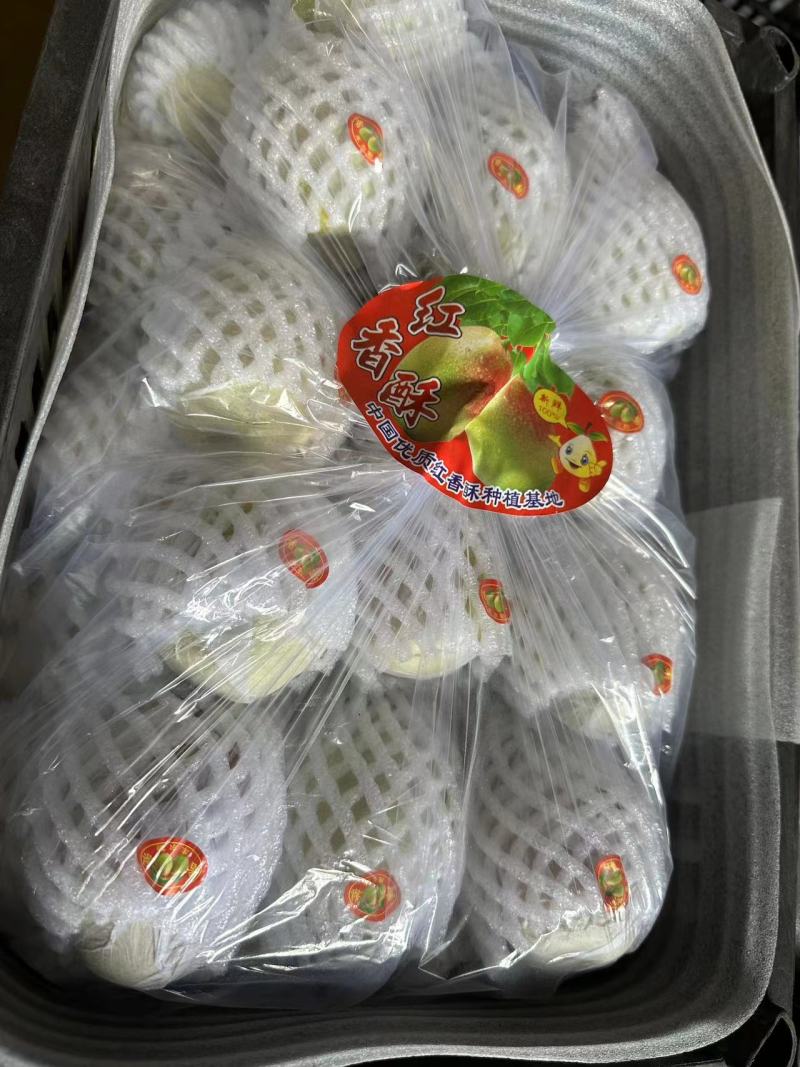 红香酥梨精品货源价格美丽直发货欢迎致电