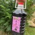 【精品】桑葚酒，口感醇厚且清爽，量大从优，欢迎咨询采购！