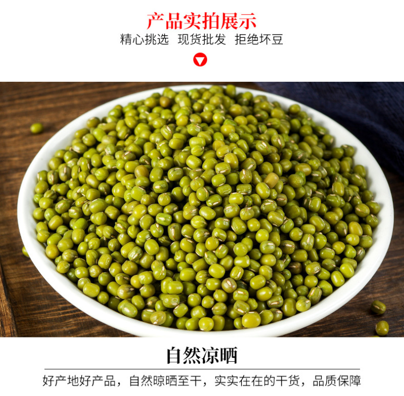 绿芽豆东北绿豆绿芽豆现货绿豆芽高出芽97以上