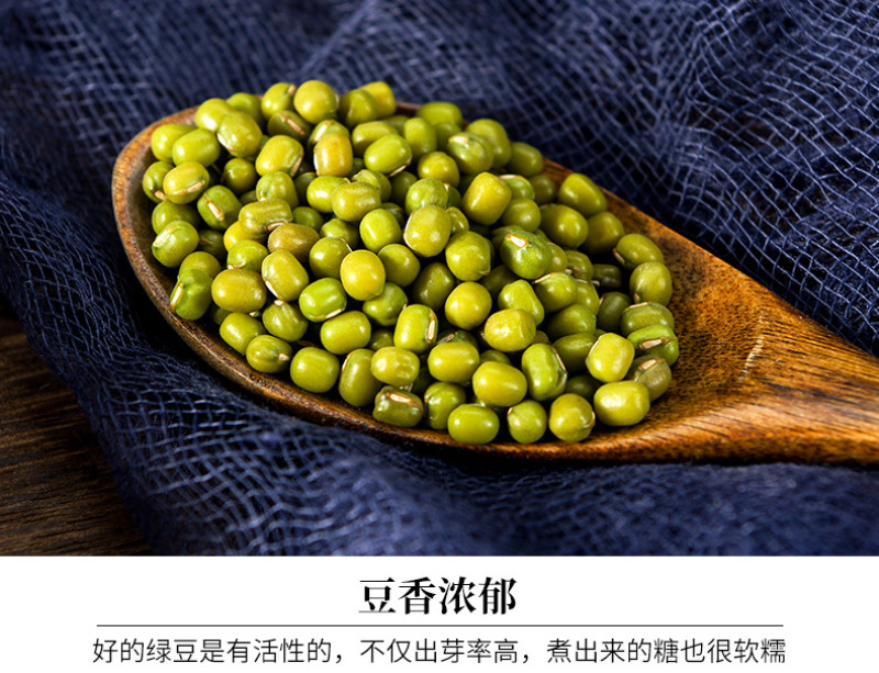 绿芽豆东北绿豆绿芽豆现货绿豆芽高出芽97以上