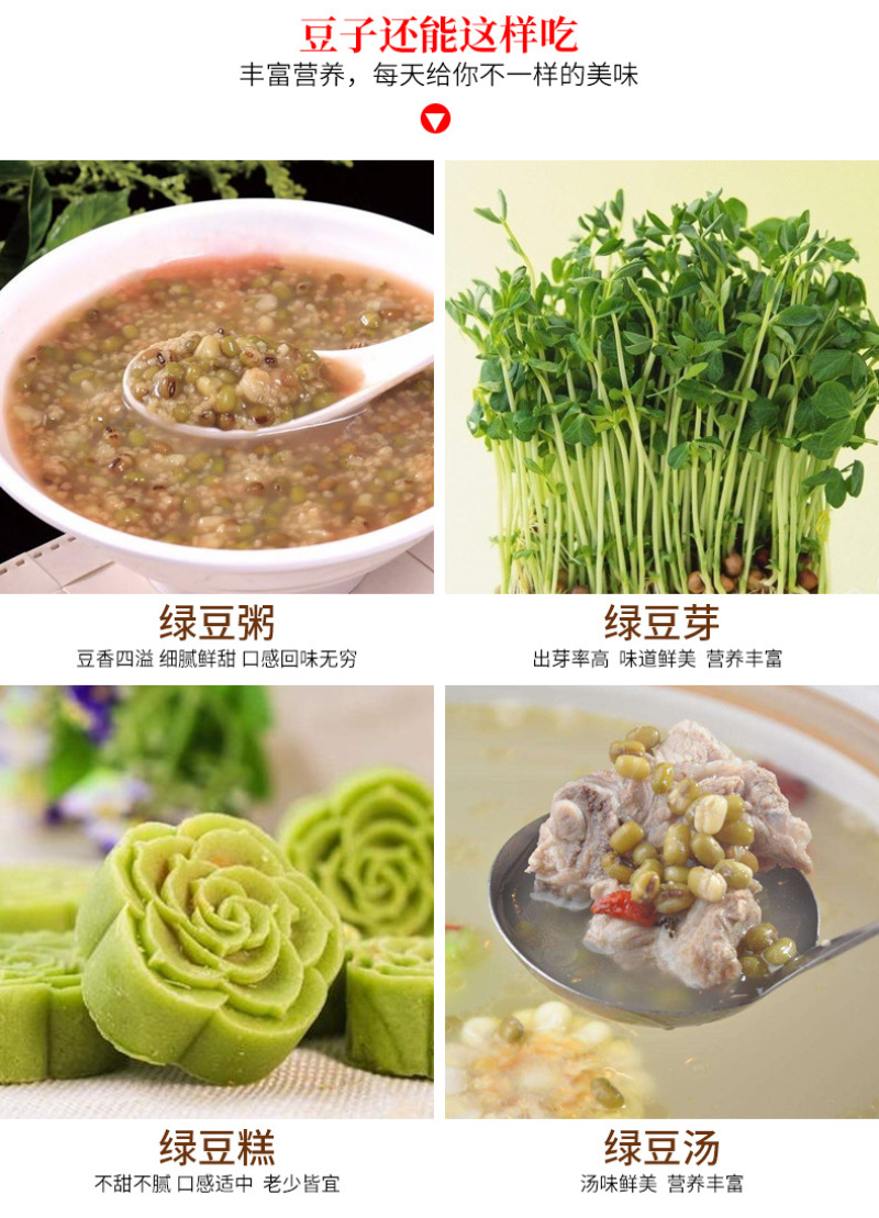 绿芽豆东北绿豆绿芽豆现货绿豆芽高出芽97以上