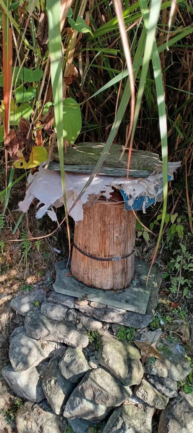 【正宗】正宗土蜂蜜自产自销品质保证无添加剂欢迎来电