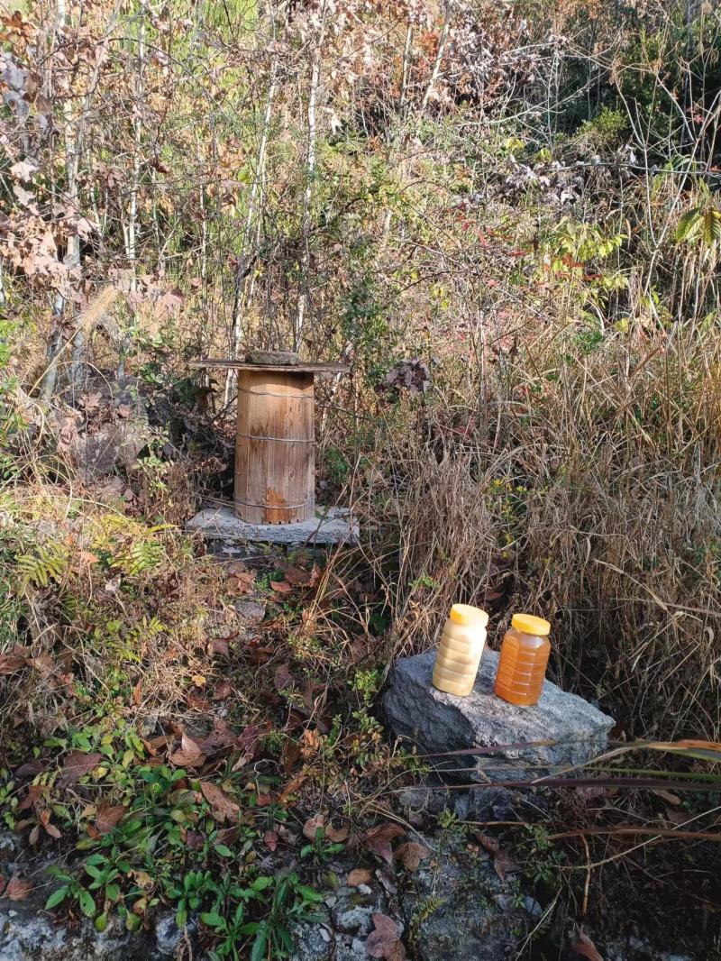 【正宗】正宗土蜂蜜自产自销品质保证无添加剂欢迎来电