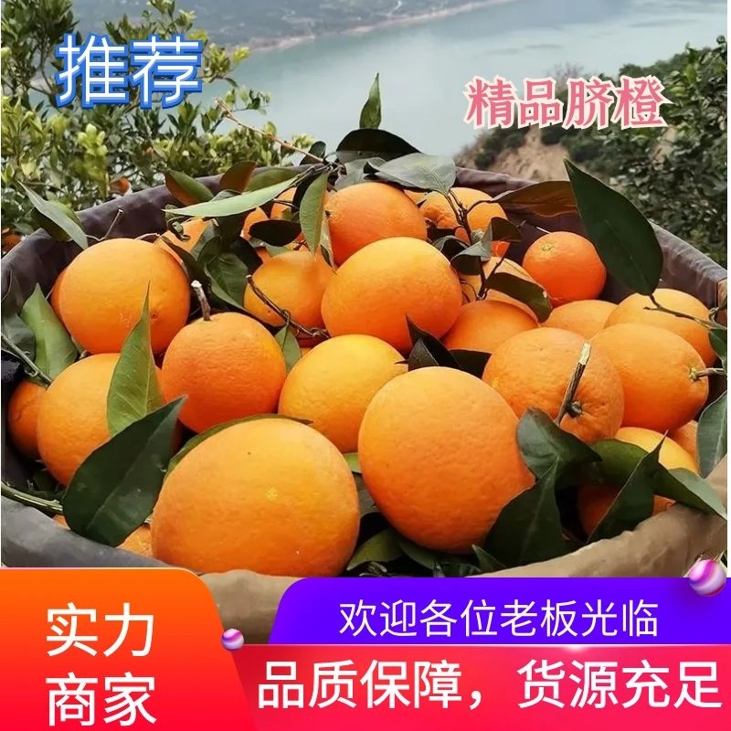 重庆纽荷尔脐橙，大量上市，品种多，规格全，欢迎联系