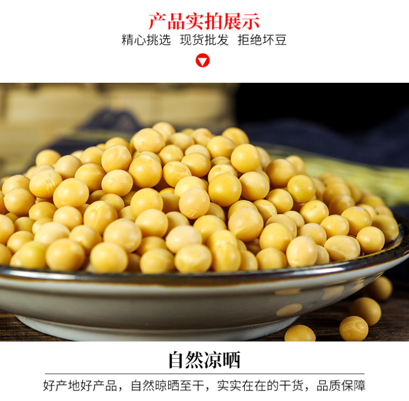 【推荐】东北黄豆芽豆小金黄690