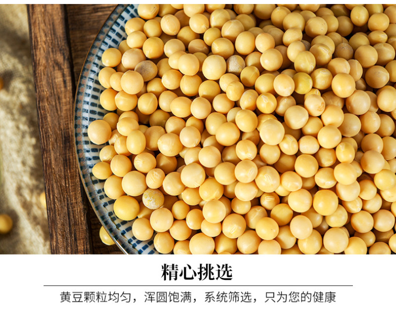 【推荐】东北黄豆芽豆小金黄690