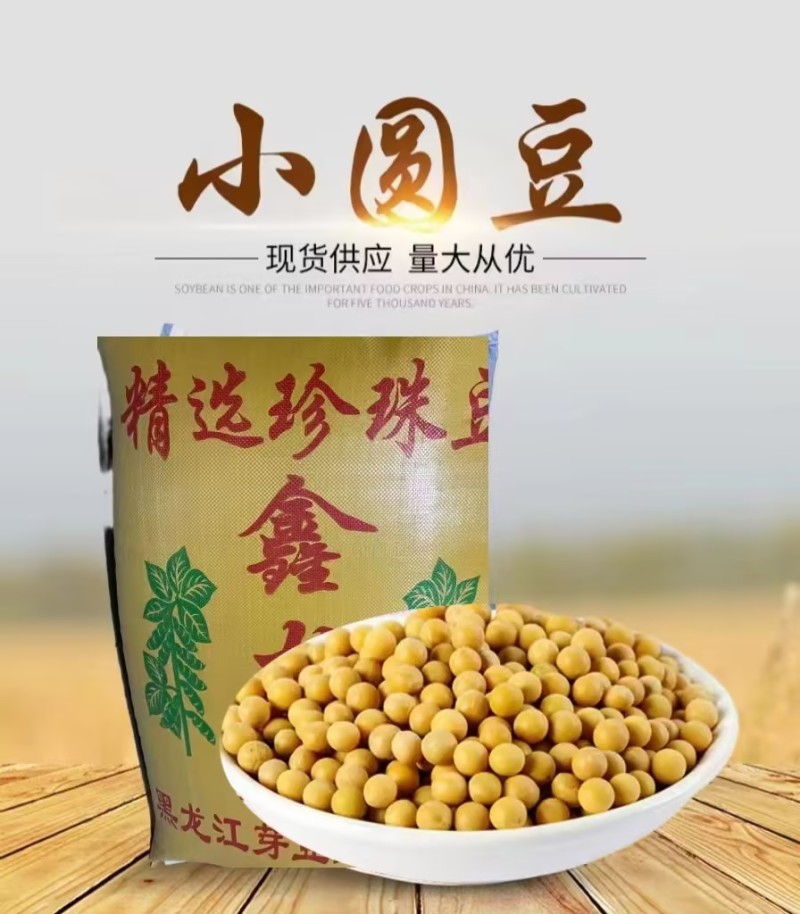 【推荐】东北黄豆芽豆小金黄690