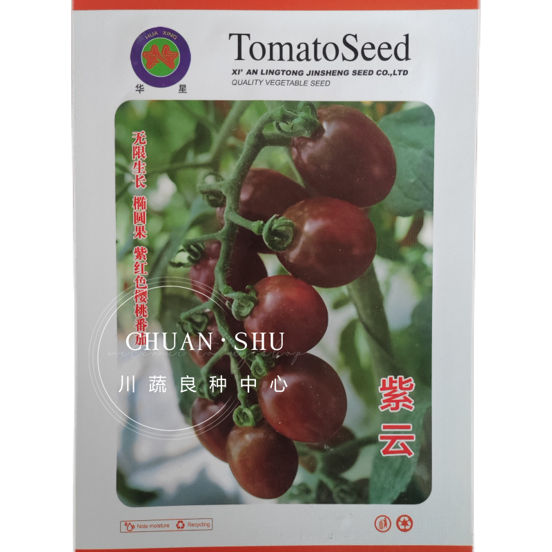 华星紫红色樱桃番茄种籽紫云水果西红柿种子无限生长型品