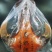 内蒙古马奶酒产地一手货源直发量大价优欢迎采购