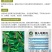 满地爬黄瓜种子，无架黄瓜种子，懒人不搭架旱黄瓜种子，耐热