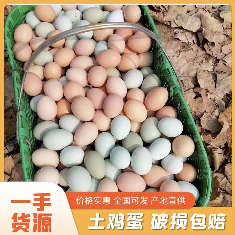 湖北农村散养土鸡蛋，物美价优，欢迎大家来电咨询