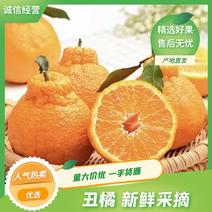 【精选】四川丑橘种植基地基地直发量大从优现摘现发