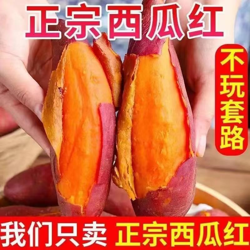 广东汕尾精品西瓜红红书广东红薯品质保证