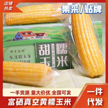 东北真空包装糯玉米【富硒认证】源头工厂高品质贴牌/代发