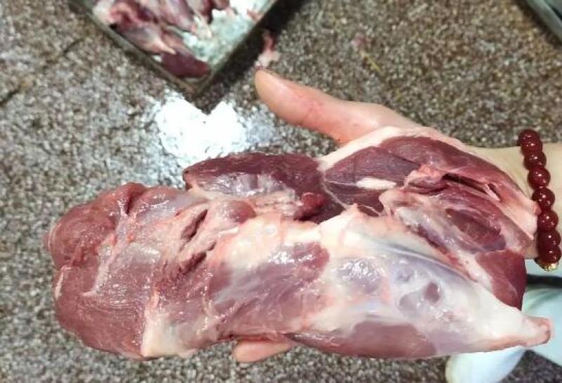 山东母猪负腱，中腱品质保证产地直发可视频看货欢迎咨询
