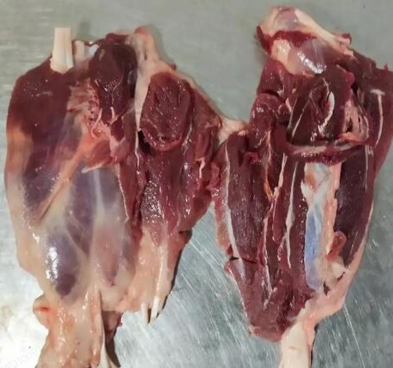山东母猪负腱，中腱品质保证产地直发可视频看货欢迎咨询