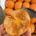 太秋甜柿苗品种纯正根系发达现挖先发签订合同定金发货