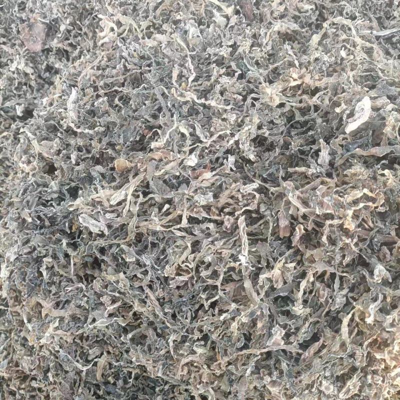 精品梅干菜梅干菜产地一手货源量大从优保质保量