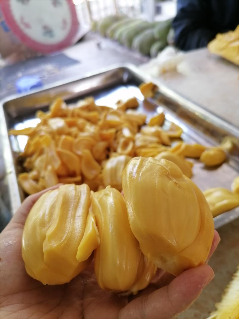 海南青皮菠萝蜜马来西亚1号黄肉菠萝蜜香味浓郁果肉口感甜