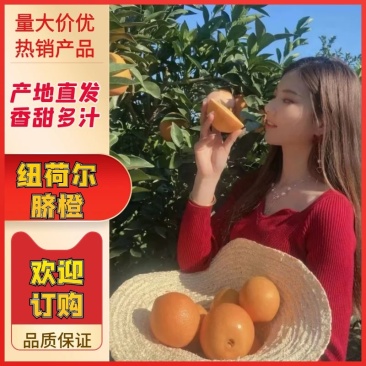 【热卖】精品脐橙纽荷尔长虹脐橙个大味甜果园采摘品质保证