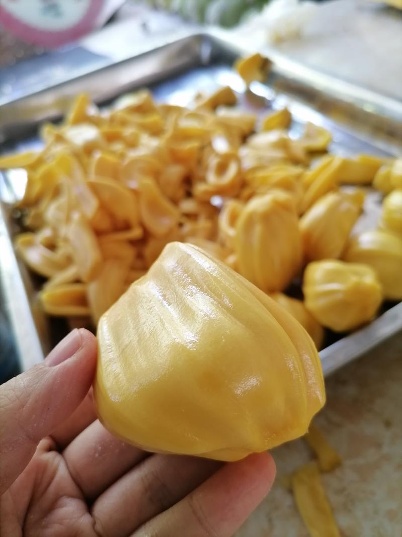 海南青皮菠萝蜜马来西亚1号黄肉菠萝蜜香味浓郁果肉口感甜