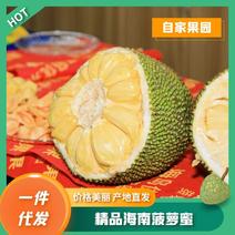 【一件代发】海南鲜果菠萝蜜马来西亚1号黄肉整个装欢迎抢购