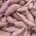 山东邹城红薯批发市场大量出售济薯26全国发货量大价优