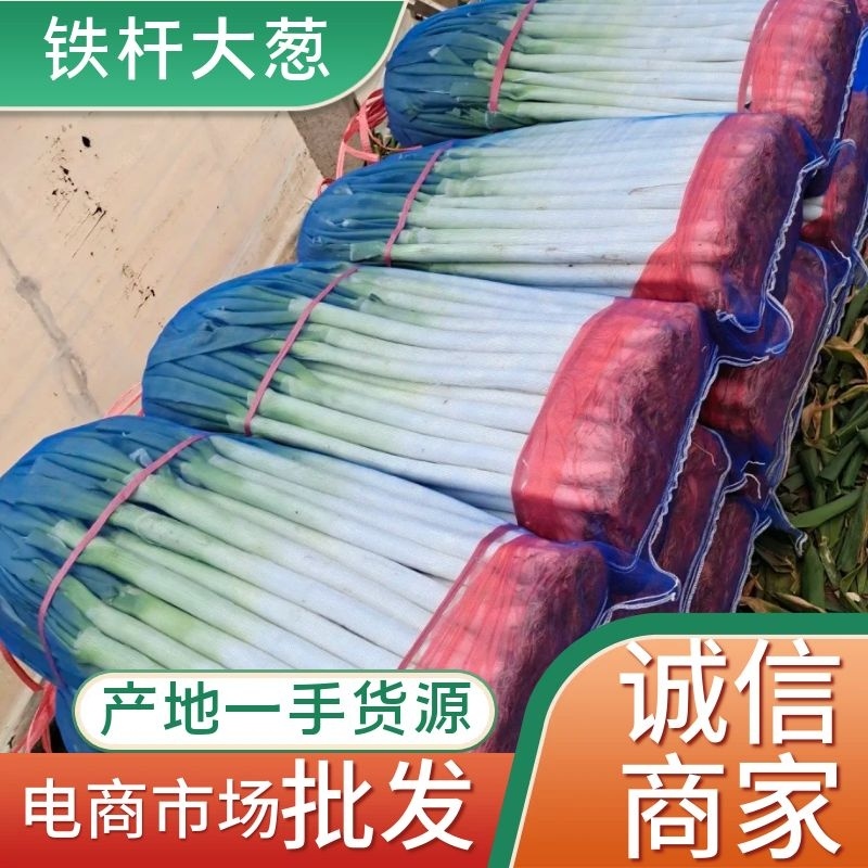 山东平邑铁杆大葱对接商超，产地直发对接全国，欢迎视频看货