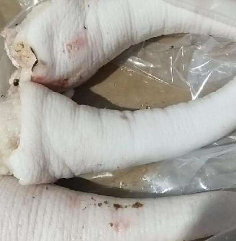 山东纯中尾品质保证产地直发可视频看货欢迎咨询