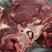 山东猪颈骨，肉多品质保证产地直发可视频看货欢迎咨询