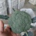 江苏精品西兰花产地直发新鲜采摘货源充足【推荐】