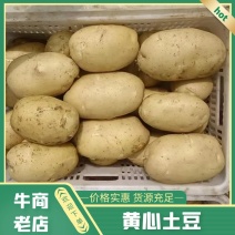 【精选】黄心土豆种植基地量大从优品质保证欢迎老板来电