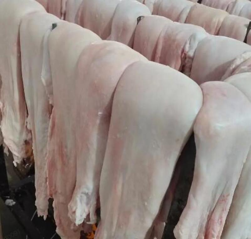 山东冻猪板油，质优价廉，厂家直销可视频看货欢迎咨询