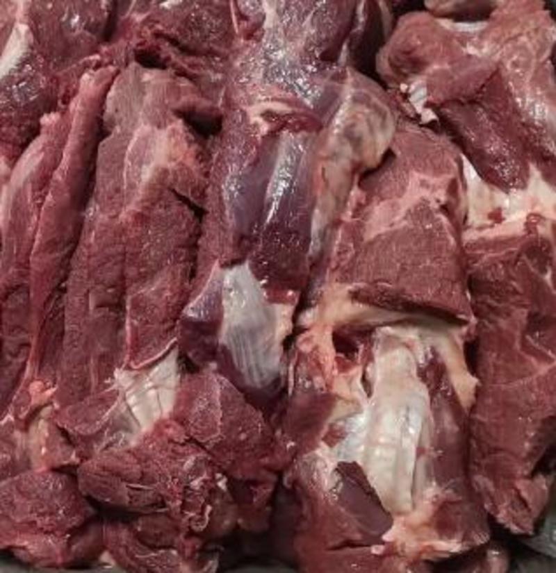 山东冻猪1号肉，厂家直销，质量赢得市场可视频看货欢迎咨询