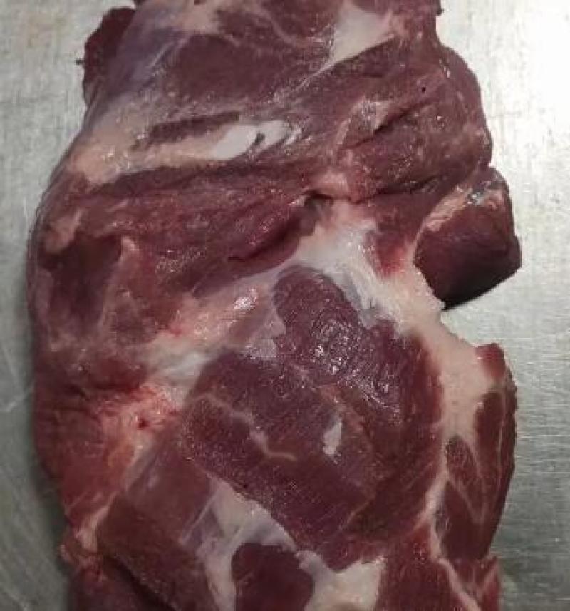 山东冻猪1号肉，厂家直销，质量赢得市场可视频看货欢迎咨询