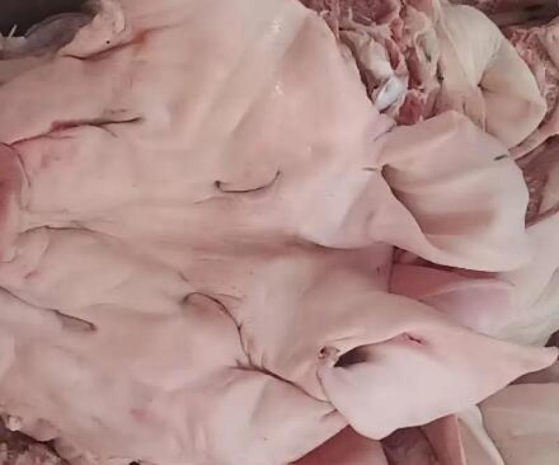 山东猪头品质保证产地直发可视频看货欢迎咨询