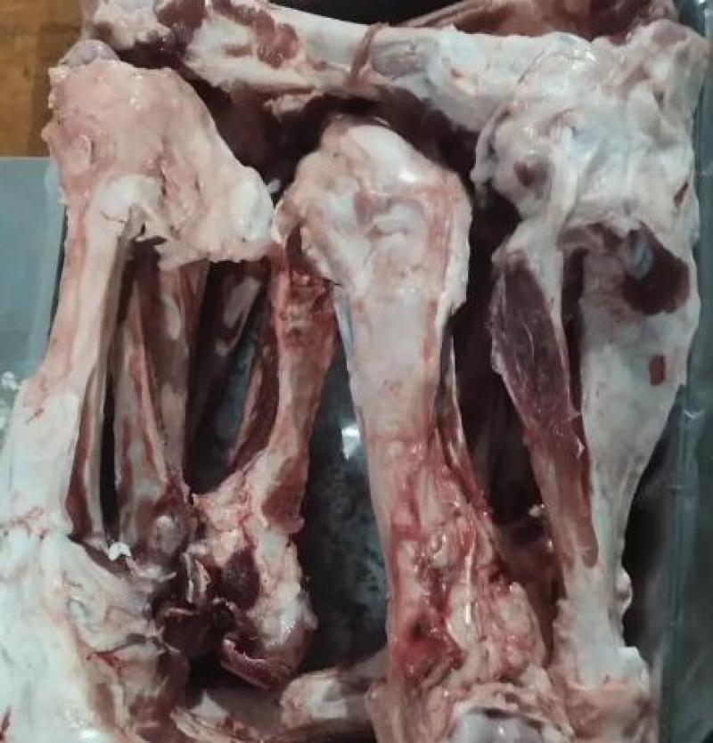 山东后腿骨品质保证产地直发可视频看货欢迎咨询